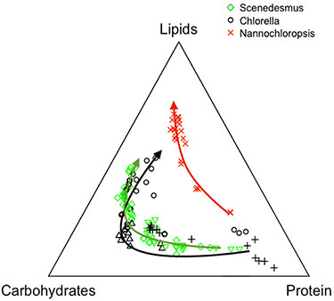 Illustration of a triangle labeled "Lipids" at the top point, "Carbohydrates" at the left point, and "Protein" at the right point. Inside the triangle is a red arrow with red x's moving up the right side, representing Nannochloropsis; a black arrow with black triangles moving from the bottom up the left side, representing Chlorella; and a green arrow with green diamonds moving from the bottom up the left side, representing Scenedesmus.