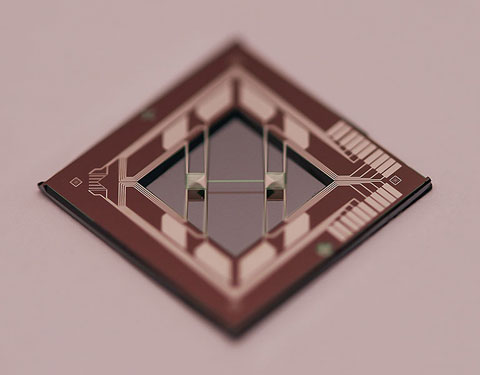 Photo of brown diamond-shaped structure with various light-colored circuit-like components along the edges. Two wire-like objects span the center distance across the edges.