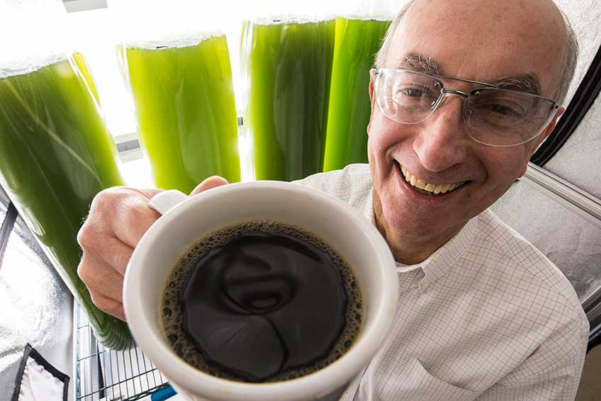 Smiling  NREL researcher holds a cup of coffee in front of green algae vials.