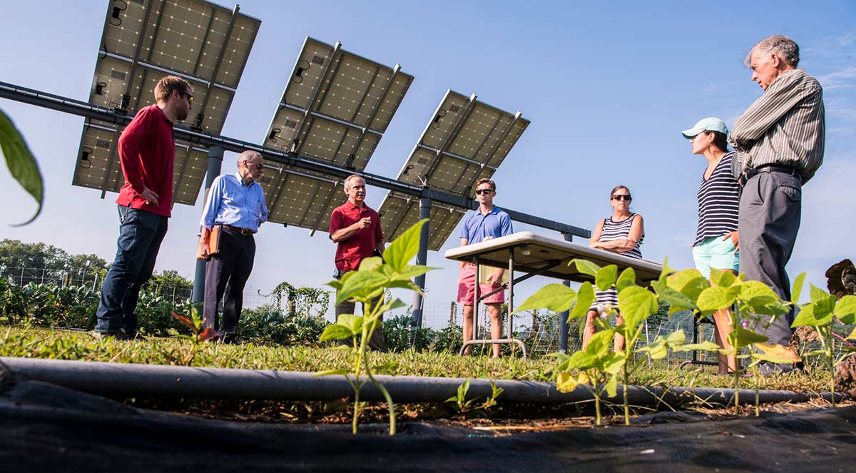 Seven people stand in conversation between solar panels and sprouting plants.
