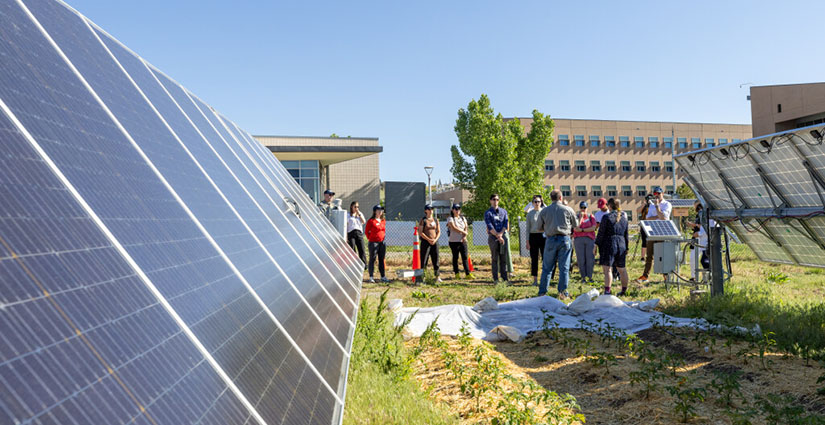 Two people present to a group of onlookers as they stand in a field amid solar panels and buildings.