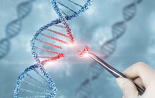 Illustration of a gloved hand removing a piece from a DNA molecule.