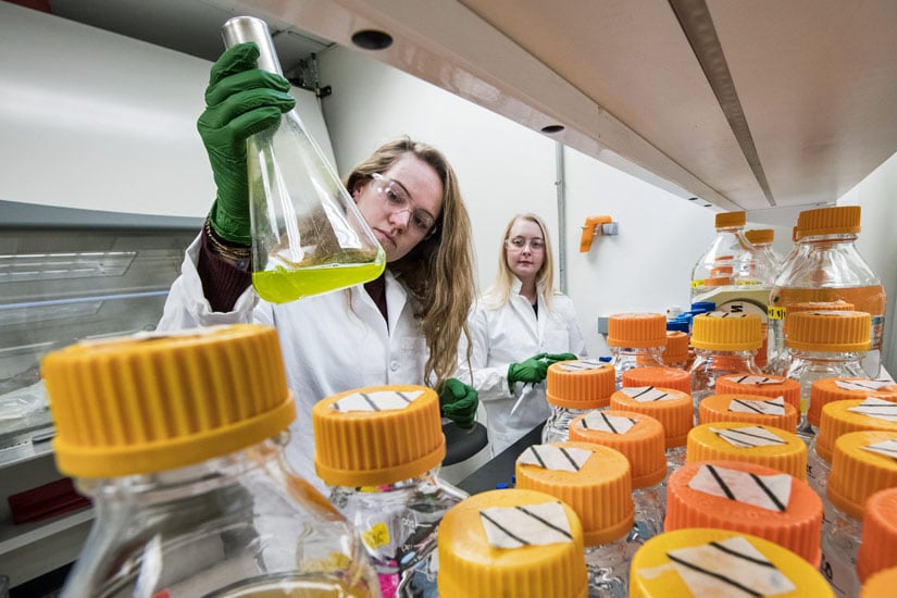 A person holds and looks at a vial of fluid as another looks on from behind.