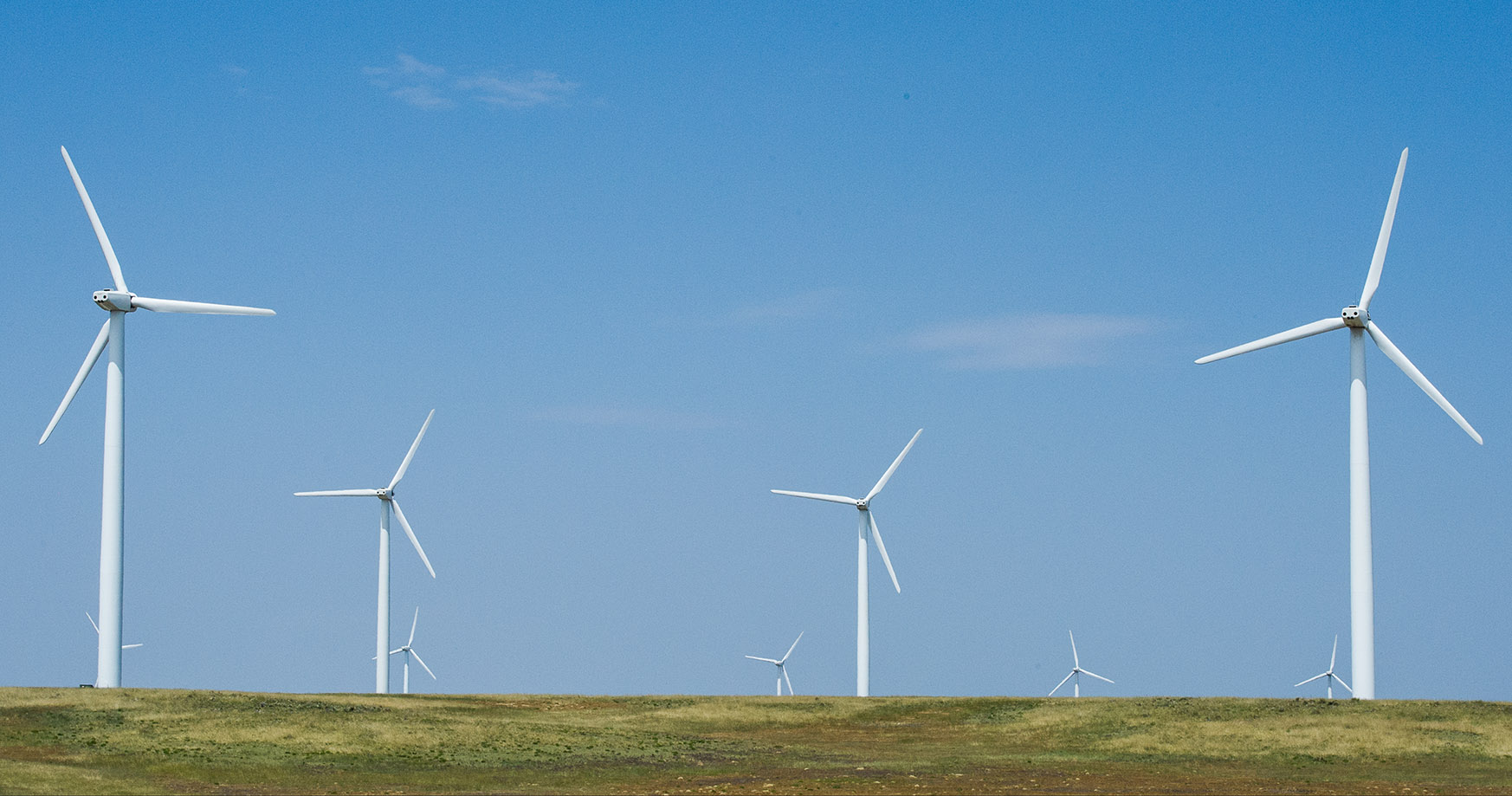 Photo of a utility-scale wind farm