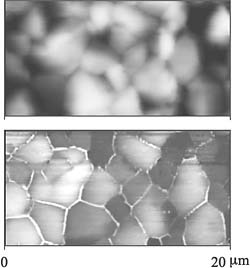 spm-c-afm SPM image
