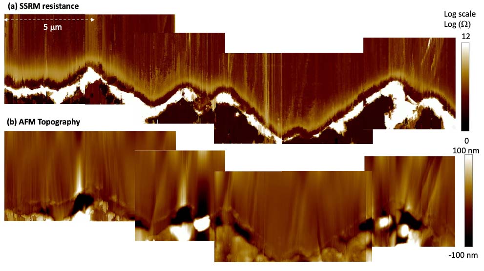spm-ssrm SPM image