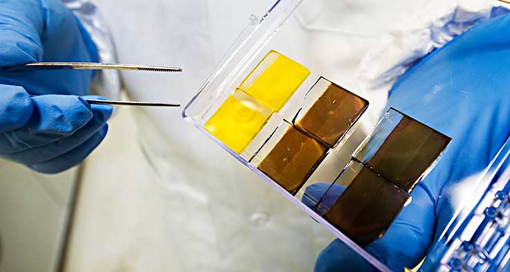 perovskite-op1-29513 Scientist holds several perovskite cells he has made in his lab, using a precursor solution that converts from a liquid base to an absorber in a device.