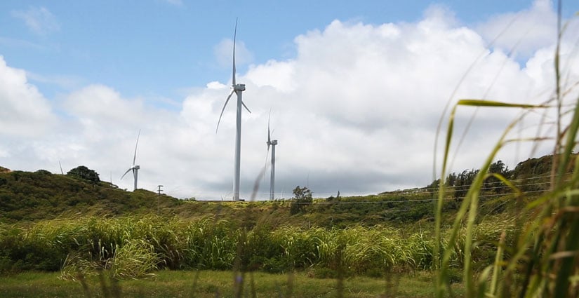 Wind turbines at Kahuku Wind Farm.