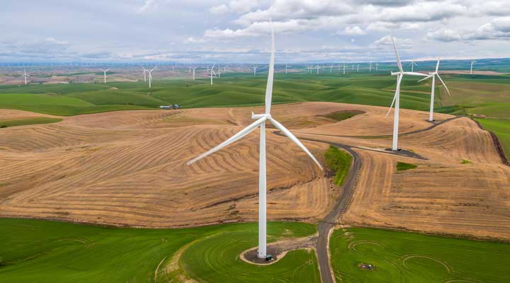 A photo of a green and brown field of multiple wind turbines in the foreground and background.