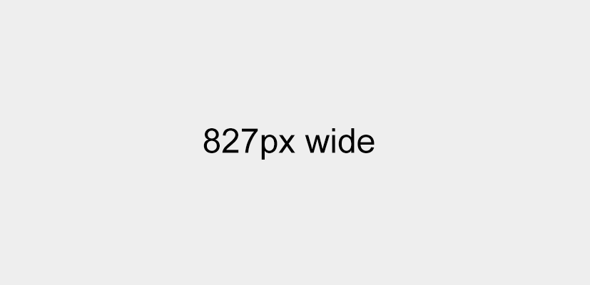 Placeholder for a 827 pixel wide image