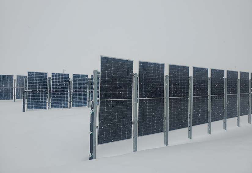 Solar panels are positioned upright in a snowy landscape.