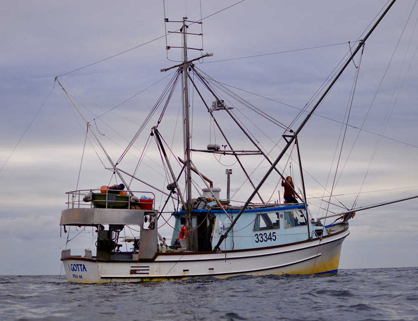 Battery-Electric Fishing Vessel Marks a Sea Change for Small Commercial  Fishers, News
