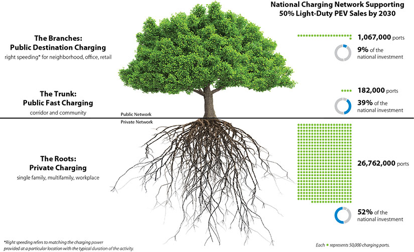 Image of a tree with above ground branches representing public destination charging, the trunk representing public fast charging, and the roots below ground representing private charging.