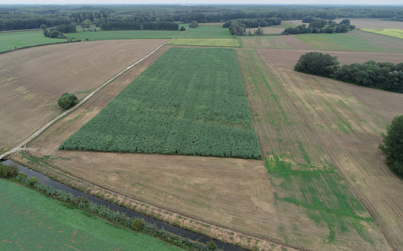An aerial view of a field in farmland.
