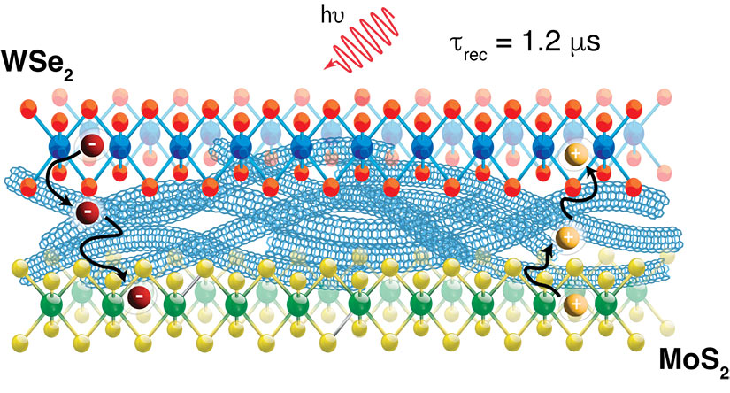 An illustration of charge movement in a mixed-dimensionality hetero-trilayer material, with different-colored dots and lines representing photoexcited electrons, holes, and carbon nanotubes.