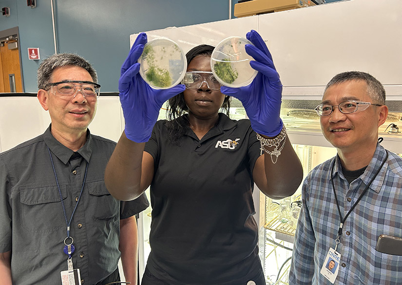 Three people wearing safety goggles in a lab look at two Petri dishes held up by the person in the center.