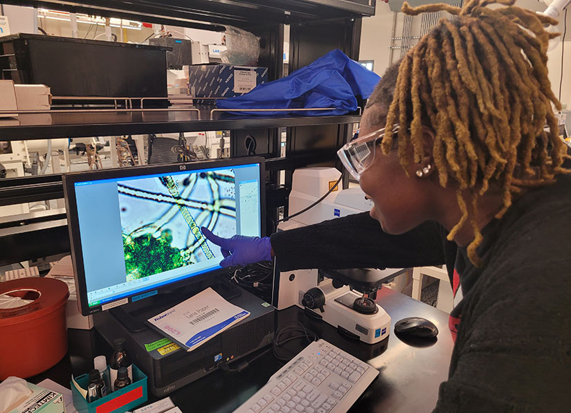 A person points at microscopic images on a computer screen.