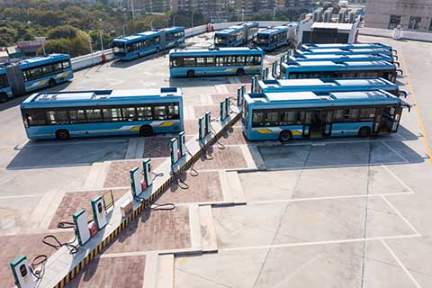 A fleet of blue zero-emissions buses in a sunny parking lot.