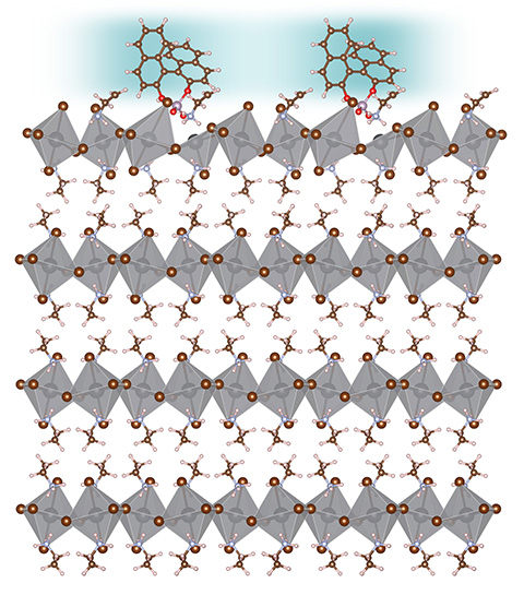 Illustration shows how the structure of a halid perovskite is distorted when it interacts with chiral molecules.