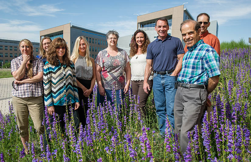 Nine people standing in a field of lupine in front of a building.