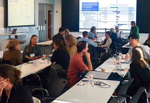 A group of people take part in a workshop in a conference room.