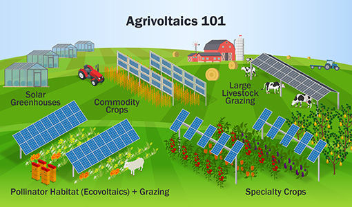 Clean Energy to Communities Agrivoltaics 101 Resources Provide a Guide Toward Implementation