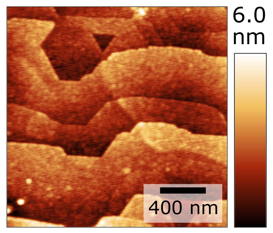 The surface of the TaC thin film after annealing at high temperatures