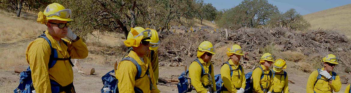 A group of firefighters in the forest listen to instructions