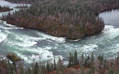 Nuyakuk River lined by trees