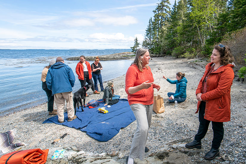 Eight people interacting on a beach with a blanket on the ground and trees in the background.