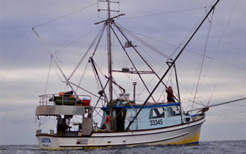 A boat on water in front of gray sky.