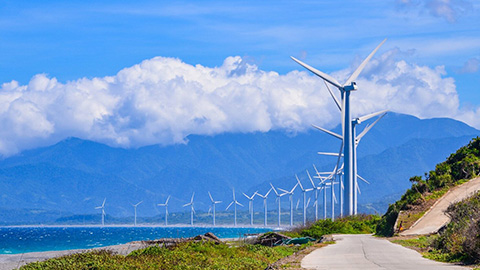 Wind turbines follow ocean shoreline.