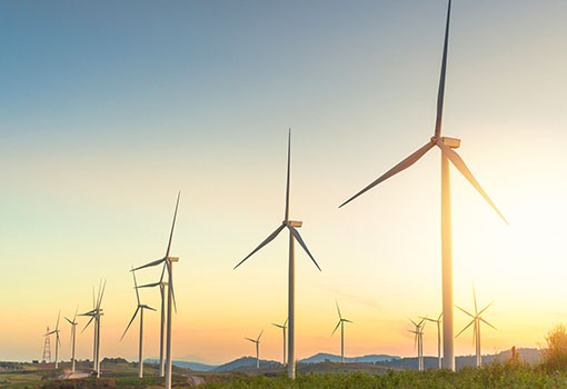 Wind turbines in a field