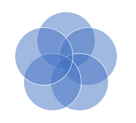 blue venn diagram