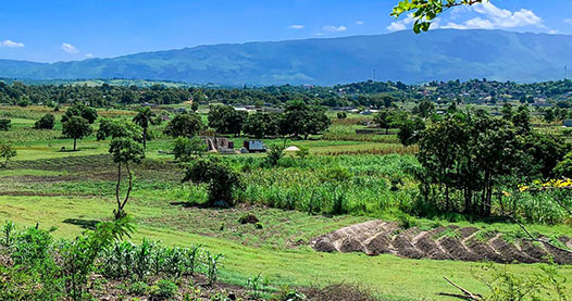     A green, pastoral field, with shrubs, trees, and croplands. Hills and blue skies are present in the background.