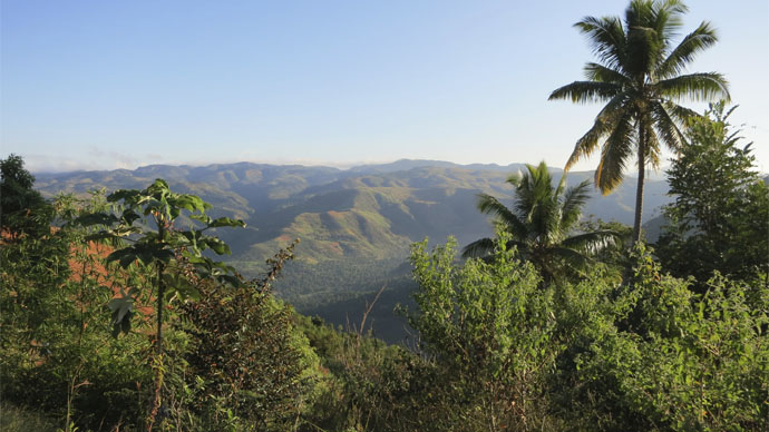 Haiti landscape with trees and mountains